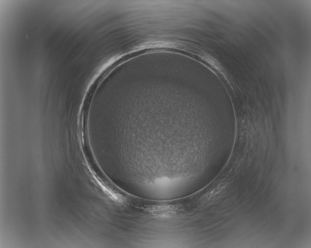 X0000058791127200509301134