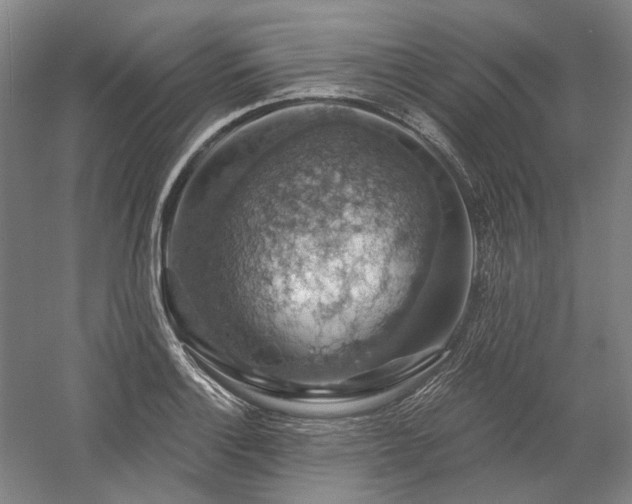 X0000058791132200509301134