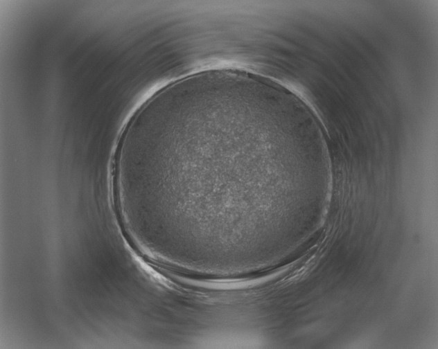 X0000058791151200509301134