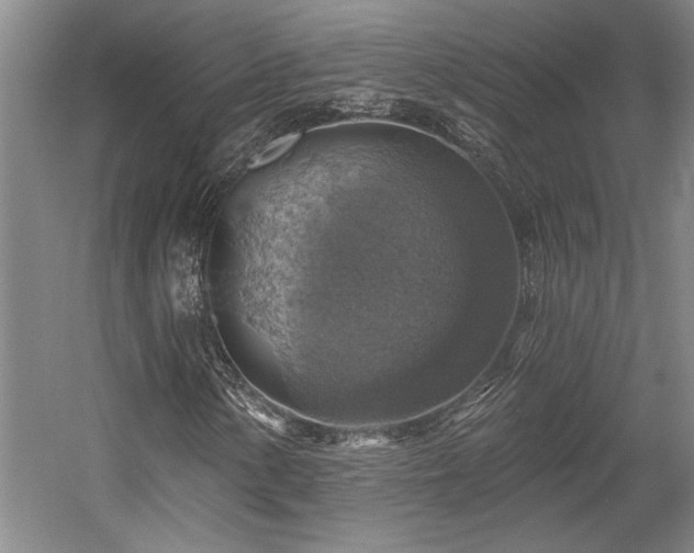X0000058791154200509301133