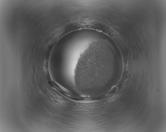 X0000058791156200509301133