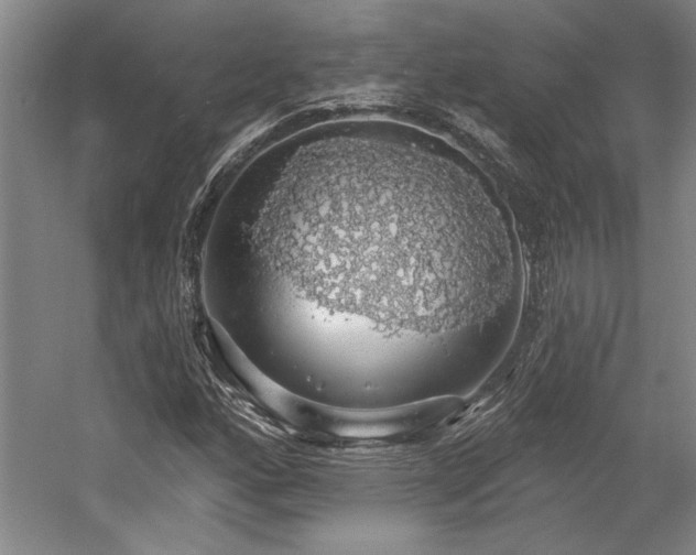 X0000058791160200509301133
