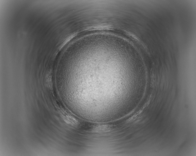 X0000058791162200509301133