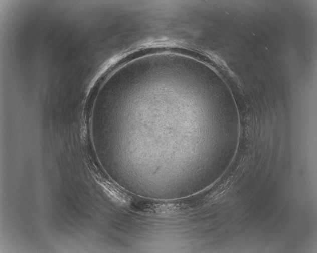 X0000058791167200509301133
