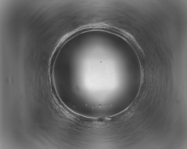 X0000058791176200509301133