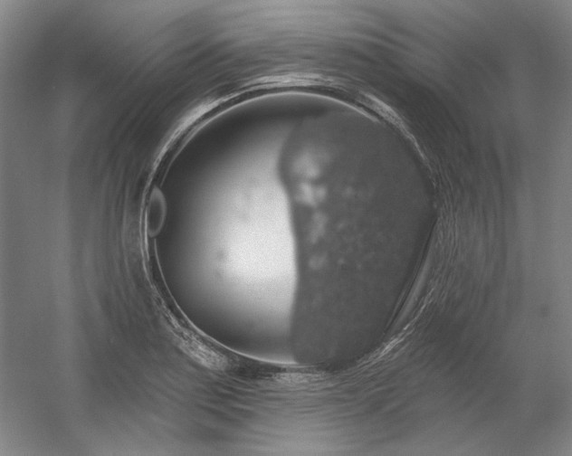 X0000058791179200509301133