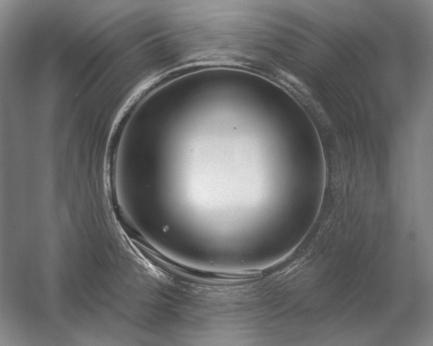 X0000058791188200509301133