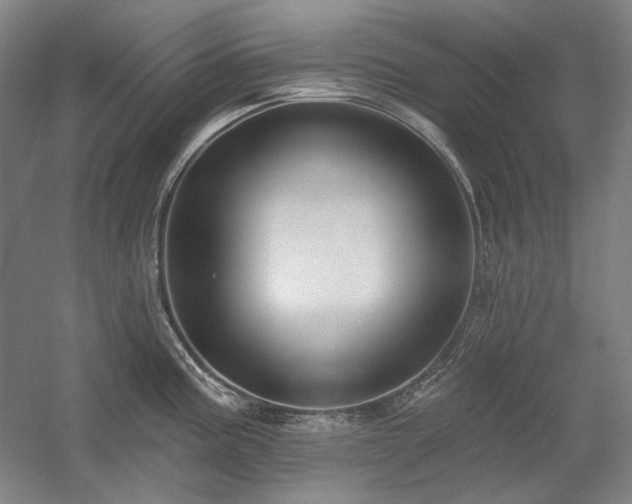 X0000058791195200509301133