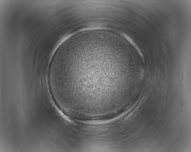 X0000058791197200509301133