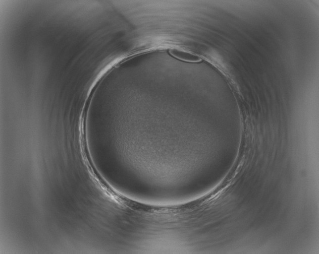 X0000058791198200509301133