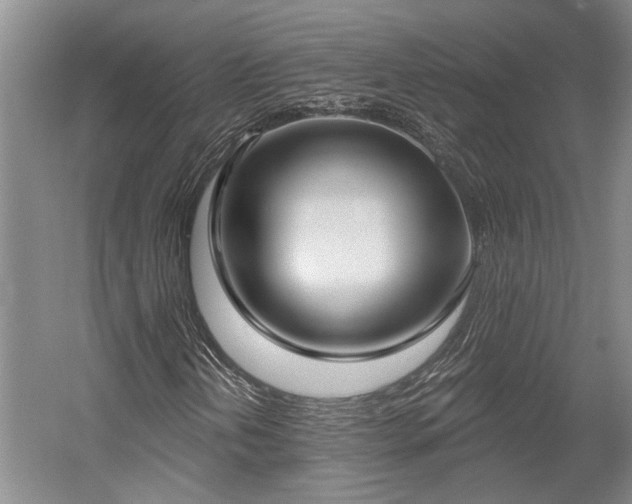 X0000058791202200509301132