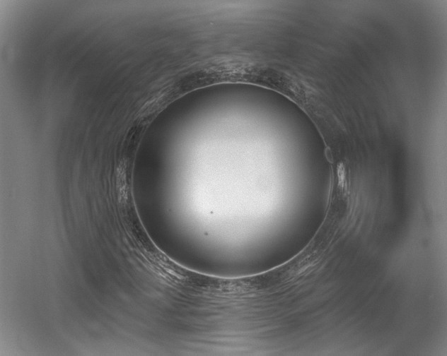 X0000058791203200509301132