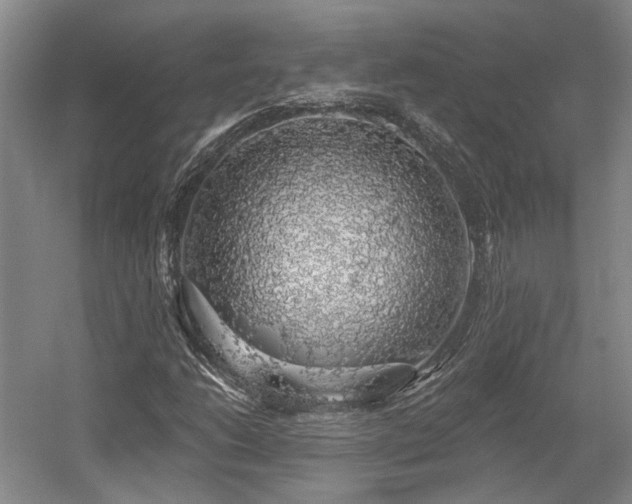 X0000058791206200509301132