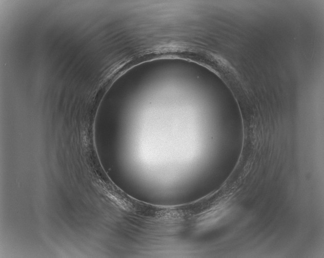 X0000058791217200509301132