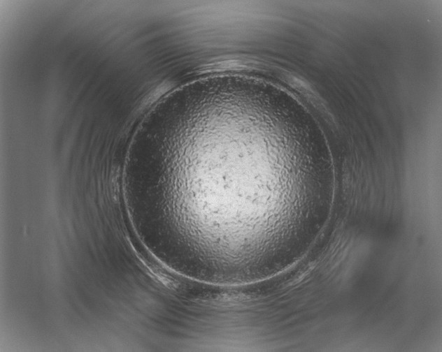 X0000058791233200509301132
