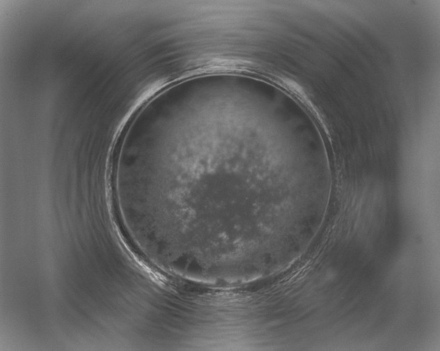 X0000058791235200509301132