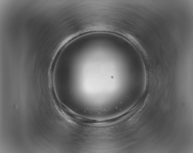 X0000058791238200509301132