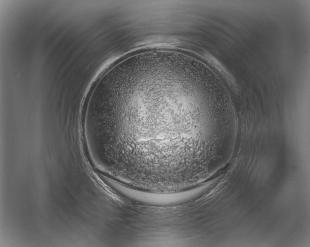 X0000058791240200509301132