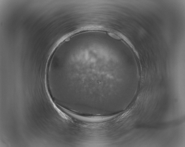 X0000058791245200509301133