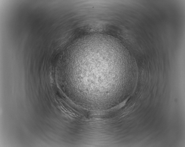 X0000058791250200509301132
