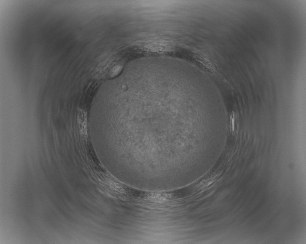 X0000058791251200509301132