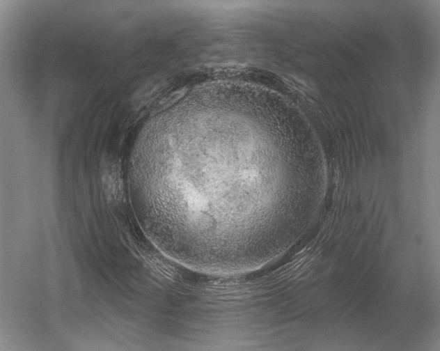 X0000058791252200509301132