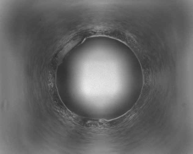X0000058791253200509301132