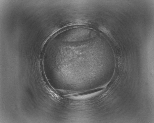 X0000058791260200509301132