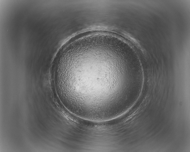 X0000058791264200509301132
