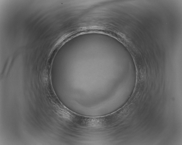 X0000058791266200509301131