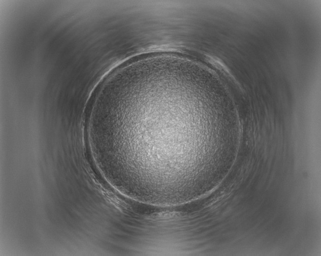 X0000058791268200509301131