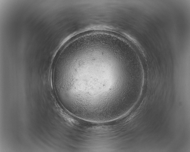 X0000058791272200509301131
