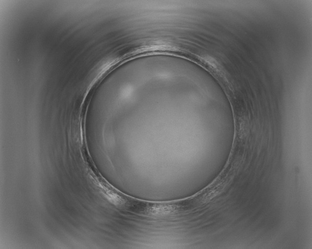 X0000058791274200509301131