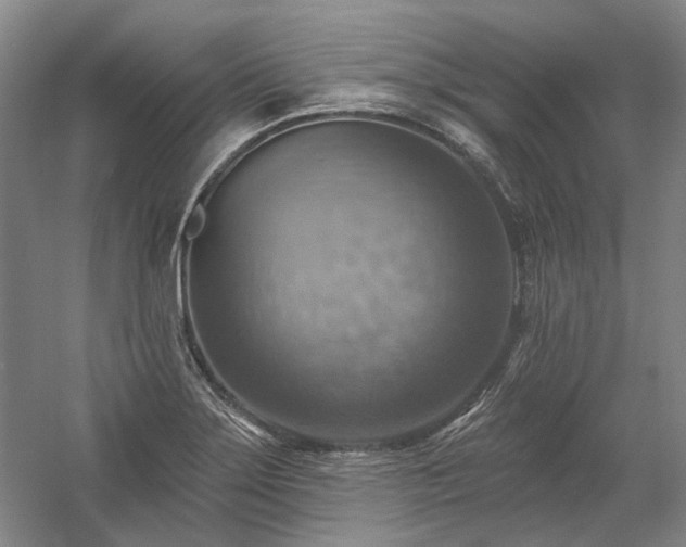 X0000058791275200509301131
