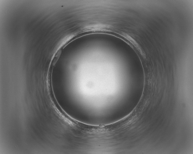 X0000058791285200509301131