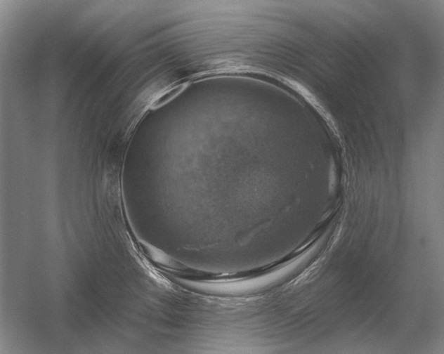 X0000058791289200509301131