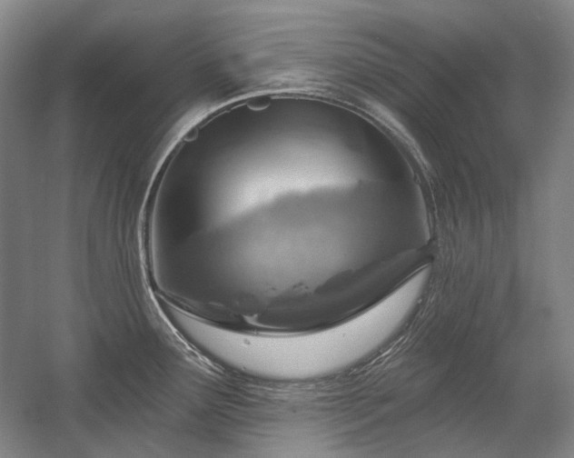 X0000058791291200509301131