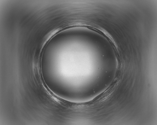 X0000058791293200509301131