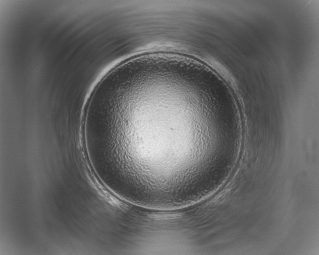 X0000058791296200509301131