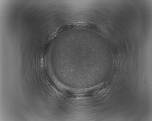 X0000058791298200509301130