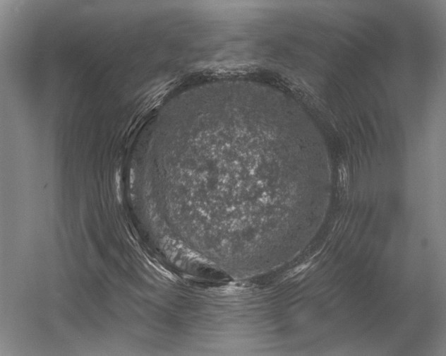X0000058791300200509301130