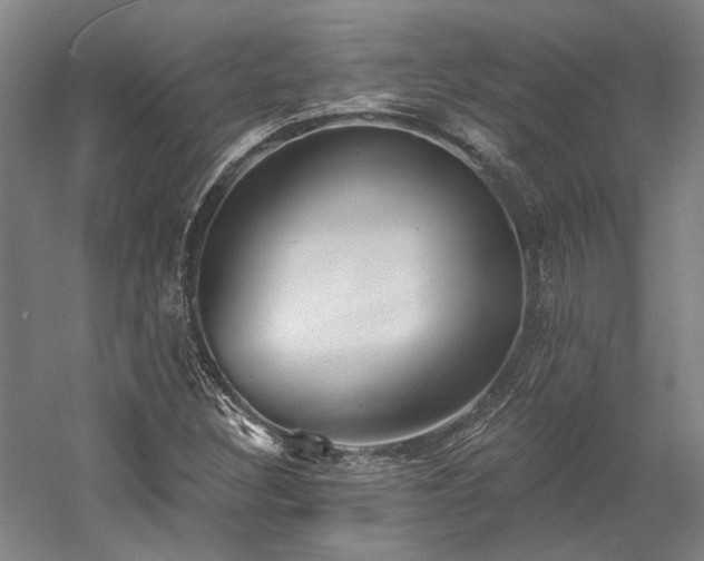 X0000058791308200509301130