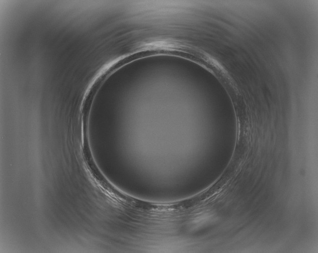 X0000058791323200509301131