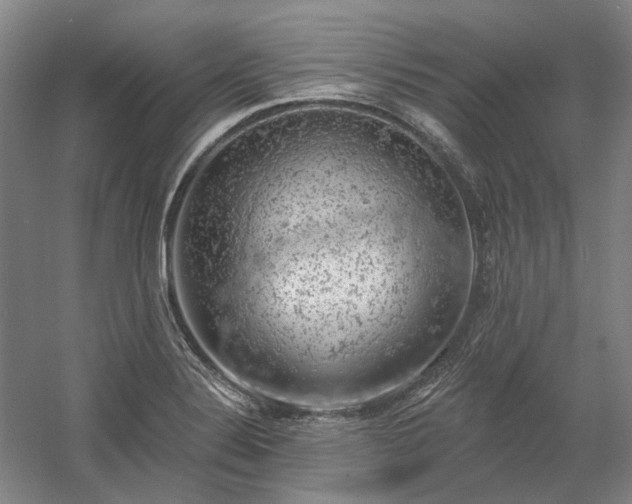 X0000058791324200509301131