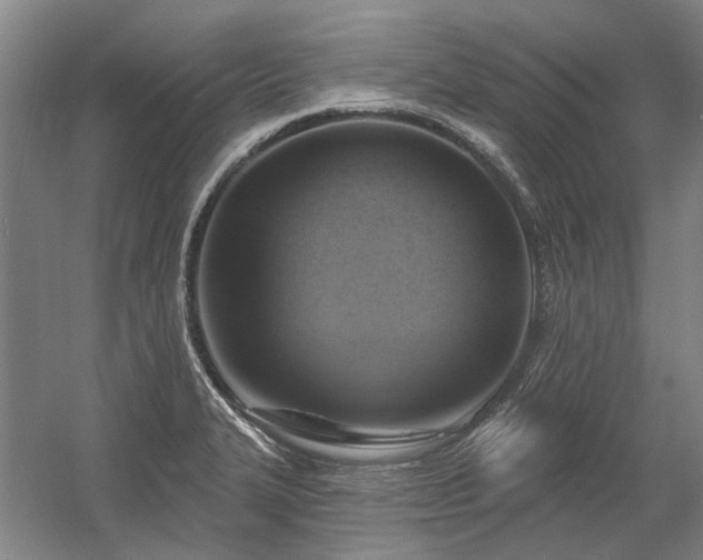 X0000058791327200509301131