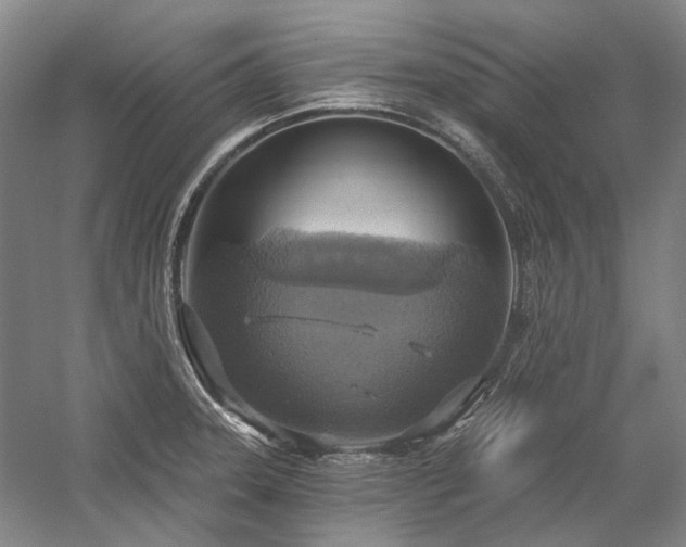 X0000058791331200509301131