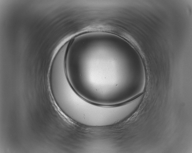 X0000058791344200509301131