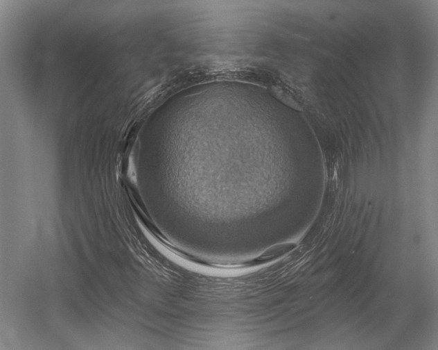X0000058791348200509301130