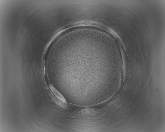 X0000058791368200509301130