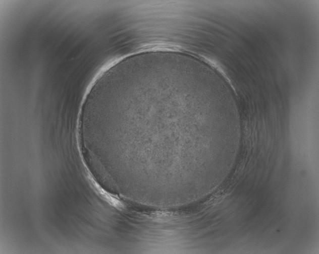 X0000058791379200509301130